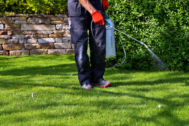 Best Mosquito Control  in USA